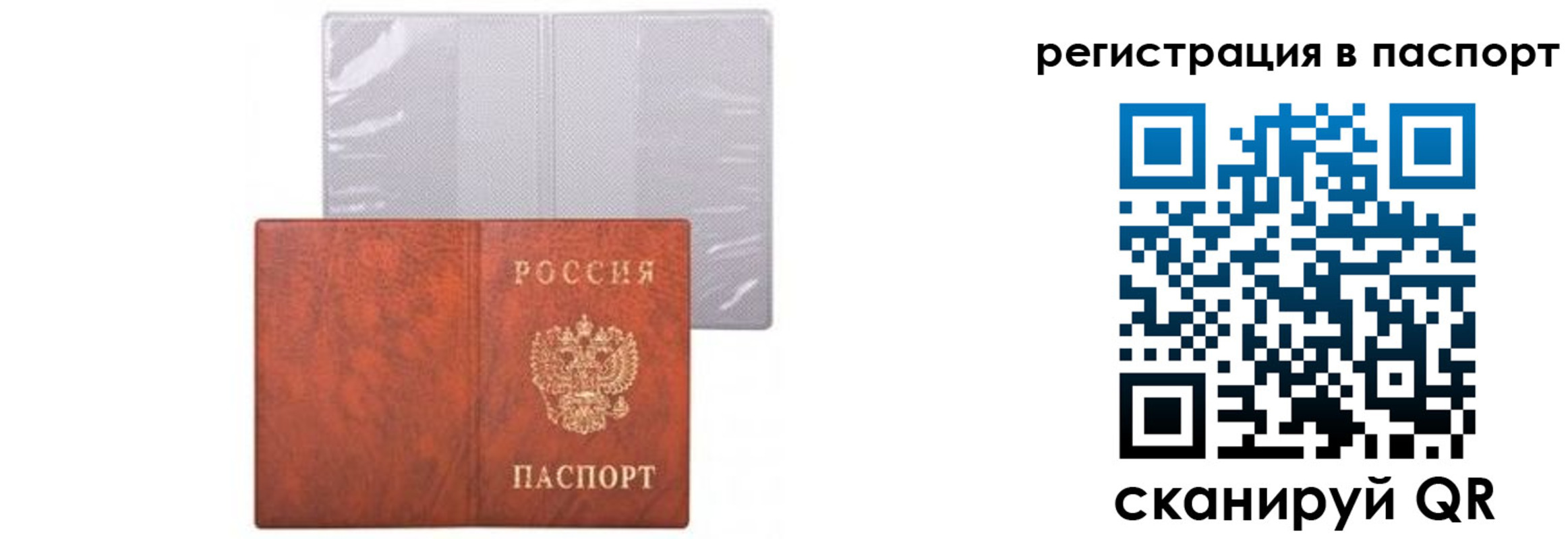 прописка ребенка в Сольцах